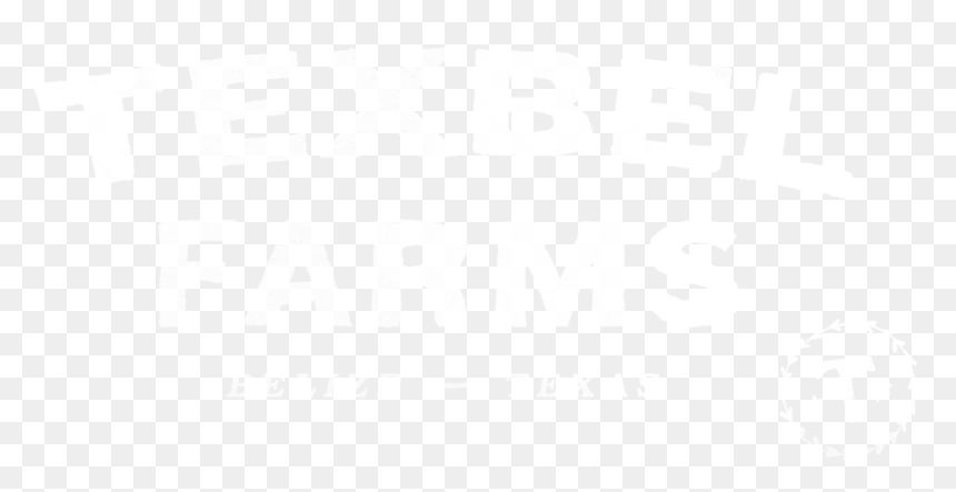 Black-and-white, HD Png Download - palmeras tropicales png
