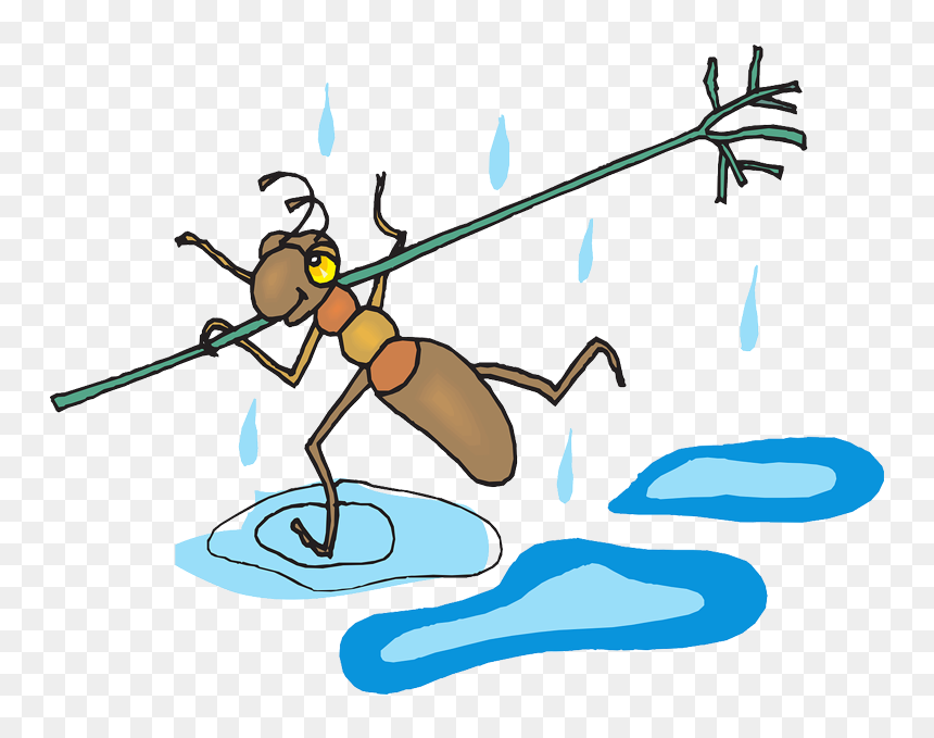 Hormigas En El Agua, HD Png Download - hormiga png