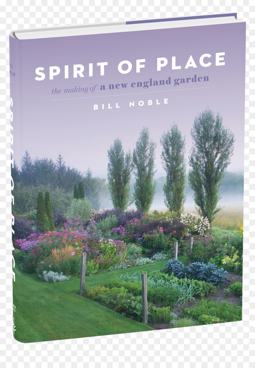 Cover - Botanical Garden, HD Png Download - shrub top view png