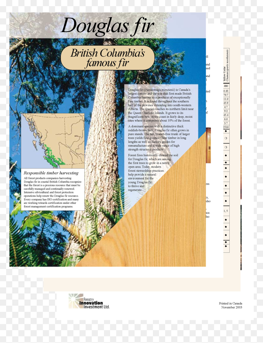 Plywood, HD Png Download - douglas fir png