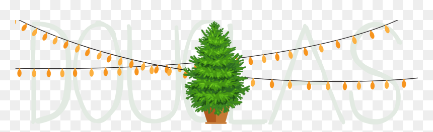 Transparent Douglas Fir Clipart, HD Png Download - douglas fir png