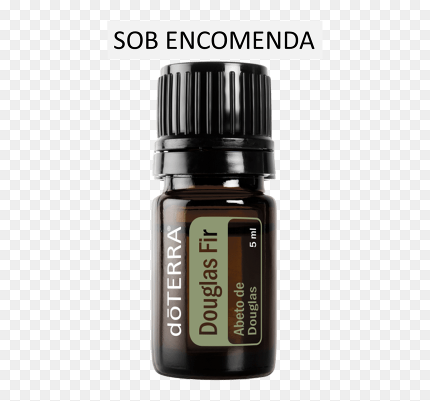 Products Of Douglas Fir, HD Png Download - douglas fir png