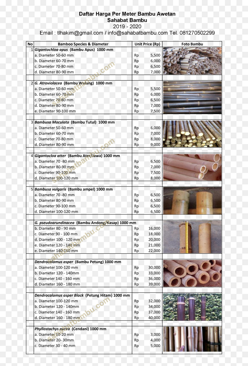 /bamboo/harga Bambu Per Spesies Medium - Bambu Bali Makassar Harga, HD Png Download - bambu png