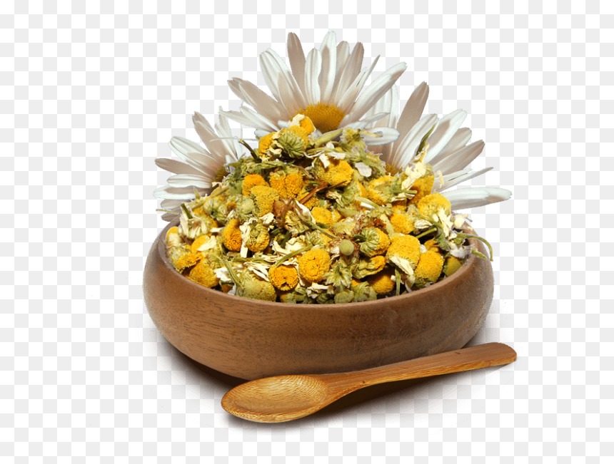 Shampoo De Camomila Clareia O Cabelo, HD Png Download - flores em png