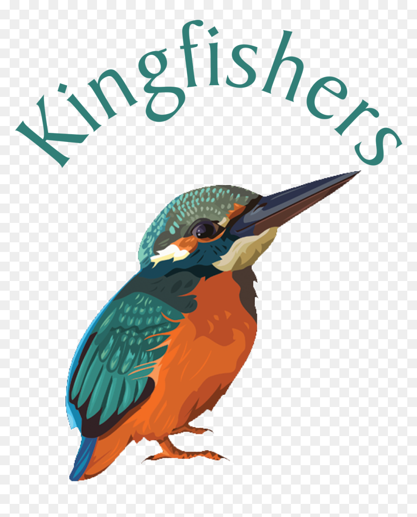 Coraciiformes, HD Png Download - kingfisher logo png