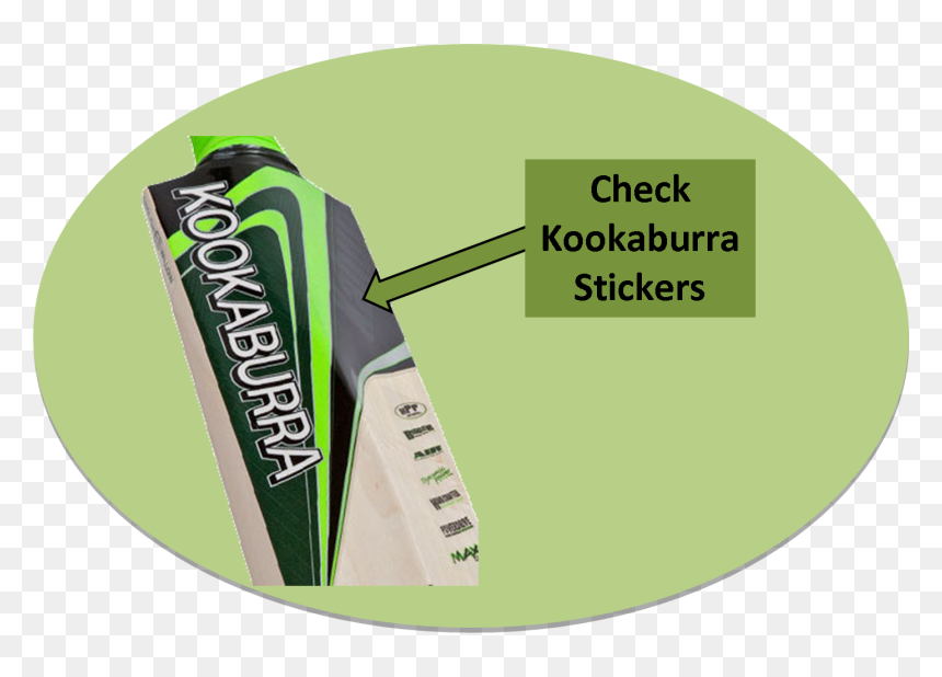 Kookaburra Cricket, HD Png Download - cricket batting logo png