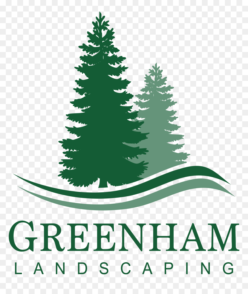 Pine Tree Clipart Png, Transparent Png - evergreen tree png