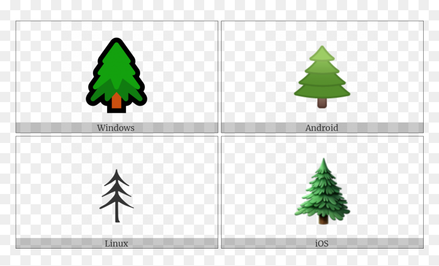 Christmas Tree, HD Png Download - evergreen tree png