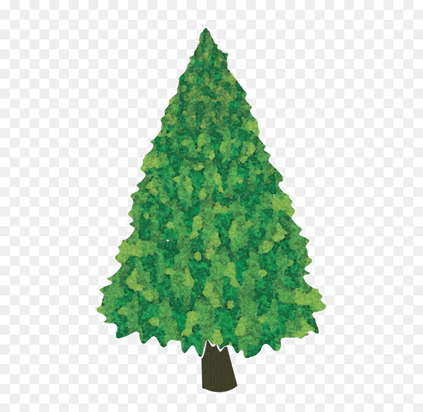 Christmas Tree, HD Png Download - evergreen tree png