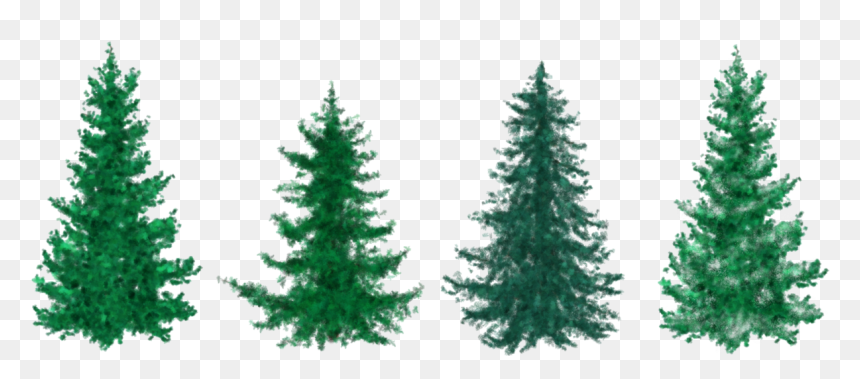 Fir Christmas Tree Clipart, HD Png Download - evergreen tree png