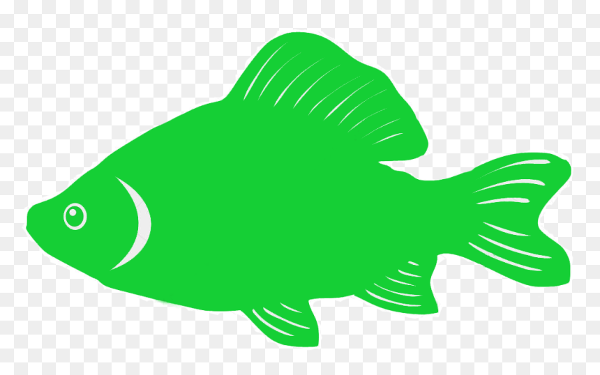 Pomacentridae, HD Png Download - fish silhouette png