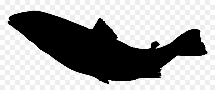 Ocean Fish Silhouette Transparent, HD Png Download - fish silhouette png
