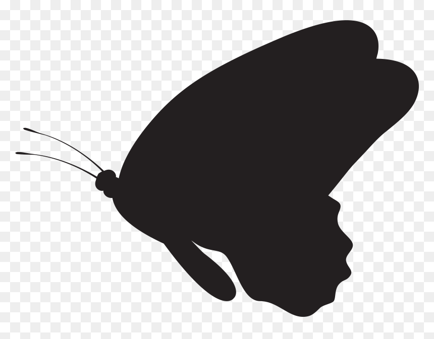 Clipart Butterfly Silhouette, HD Png Download - fish silhouette png