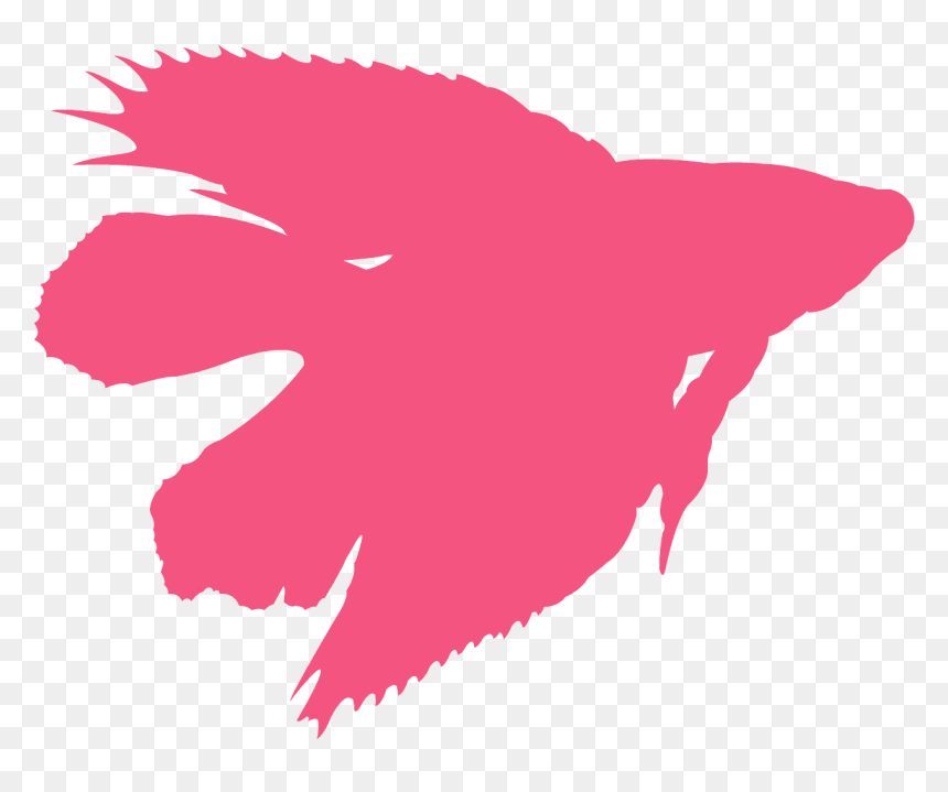 Fighter Fish In Chennai, HD Png Download - fish silhouette png