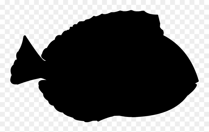 Blue Tang Silhouette, HD Png Download - fish silhouette png