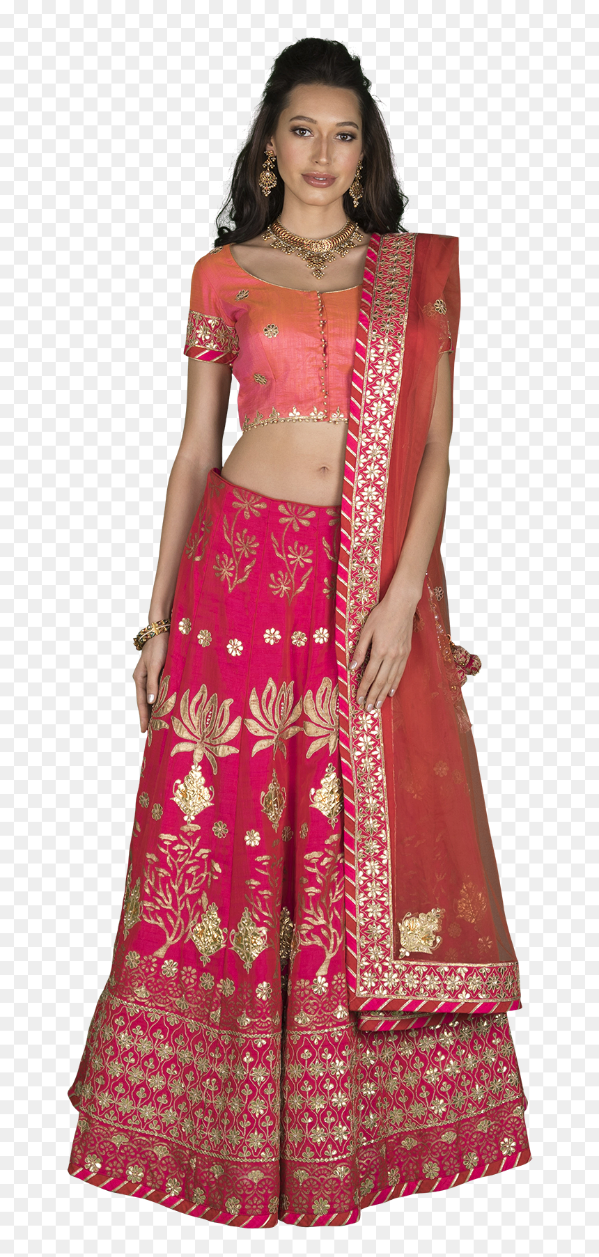 Blouse, HD Png Download - lehenga png