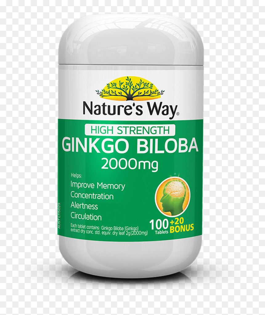 Nature's Way Ginkgo Biloba 2000mg, HD Png Download - ginkgo png