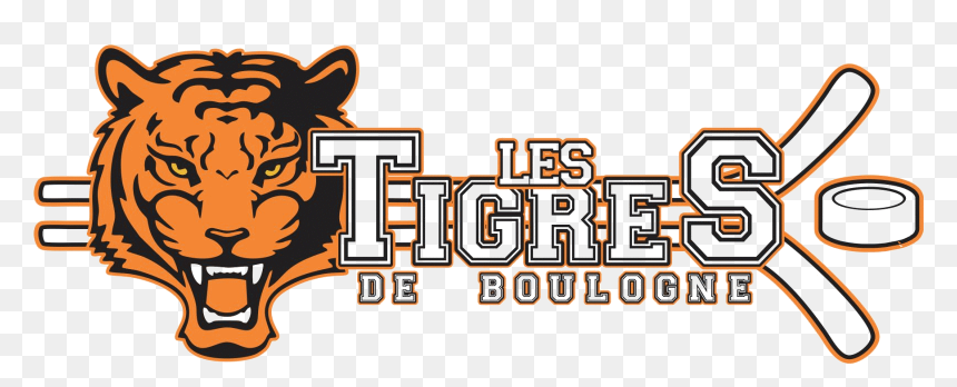 Tigres De Boulogne Bandeau, HD Png Download - tigres png