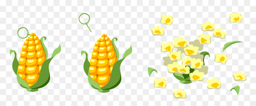 Corn Grenade, HD Png Download - pipoca png