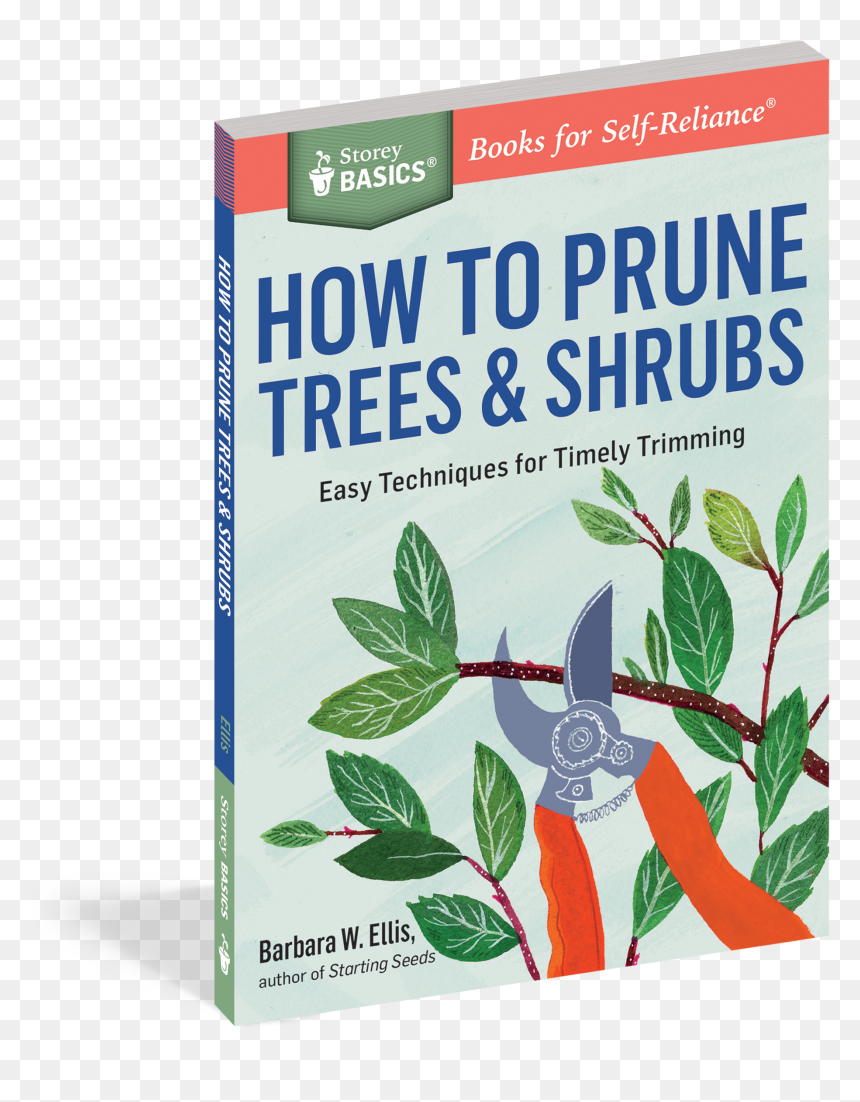 Cover - How To Prune Trees & Shrubs: Easy Techniques For, HD Png Download - tree vines png