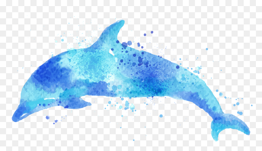 Watercolor Dolphin Png , Png Download - Blue Dolphin Water Color, Transparent Png - dolphin.png