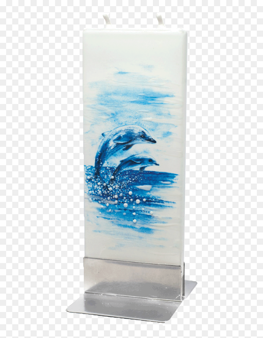 Common Bottlenose Dolphin , Png Download - Common Bottlenose Dolphin, Transparent Png - dolphin.png