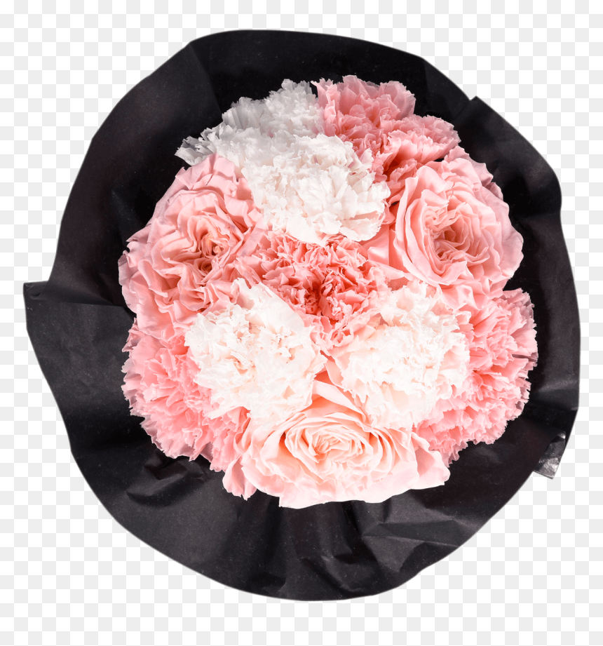Carnation, HD Png Download - pink carnation png