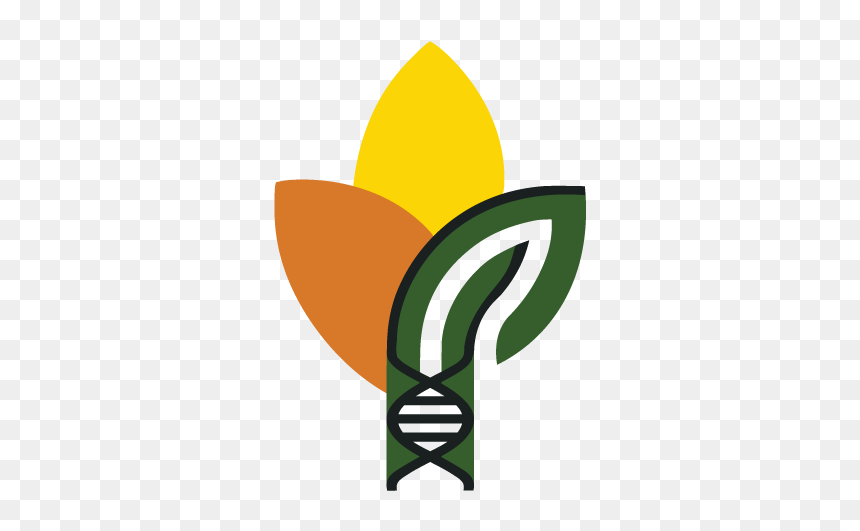Emblem, HD Png Download - bird of paradise plant png