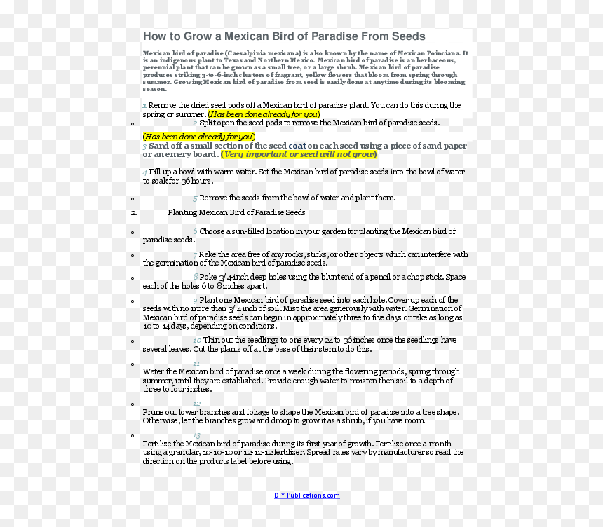 Screenshot, HD Png Download - bird of paradise plant png