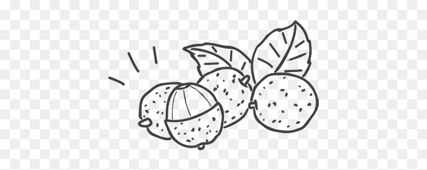 Line Art, HD Png Download - lychee png