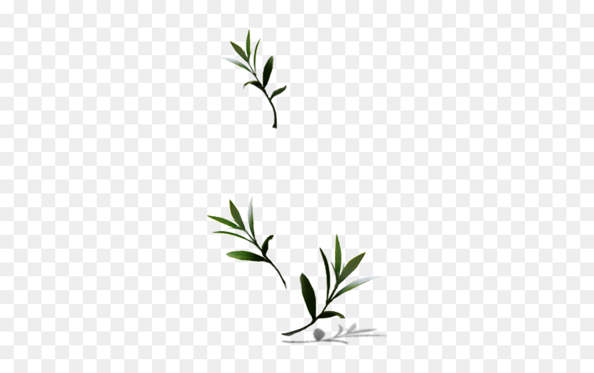 Illustration, HD Png Download - hojas verdes png