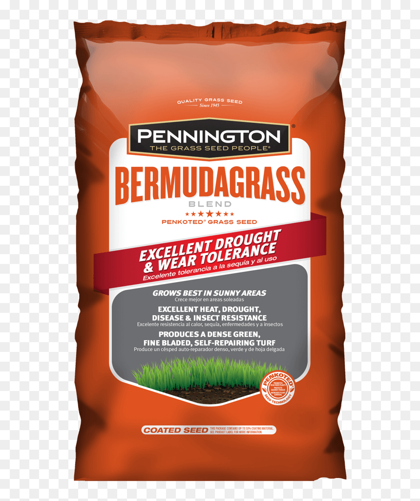 Seed, HD Png Download - hojas verdes png