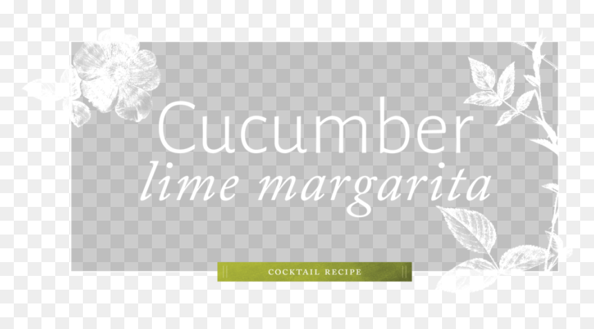 Recipe-cocktail - Charlotte's Rose By Ae Cannon, HD Png Download - margarita cocktail png