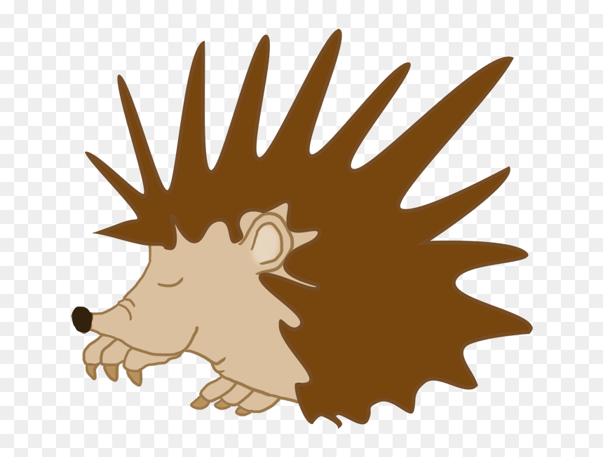 Sleeping Hedgehog Clipart - Illustration, HD Png Download - sleeping clipart png