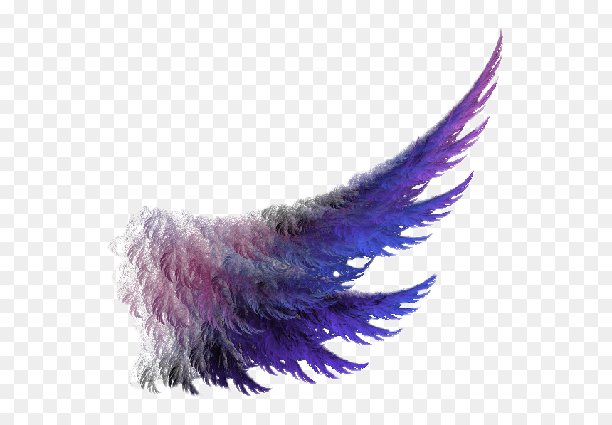 #wings #wing #purple #feather - First Ladies Of Disco Don T Stop Me Now, HD Png Download - purple feather png