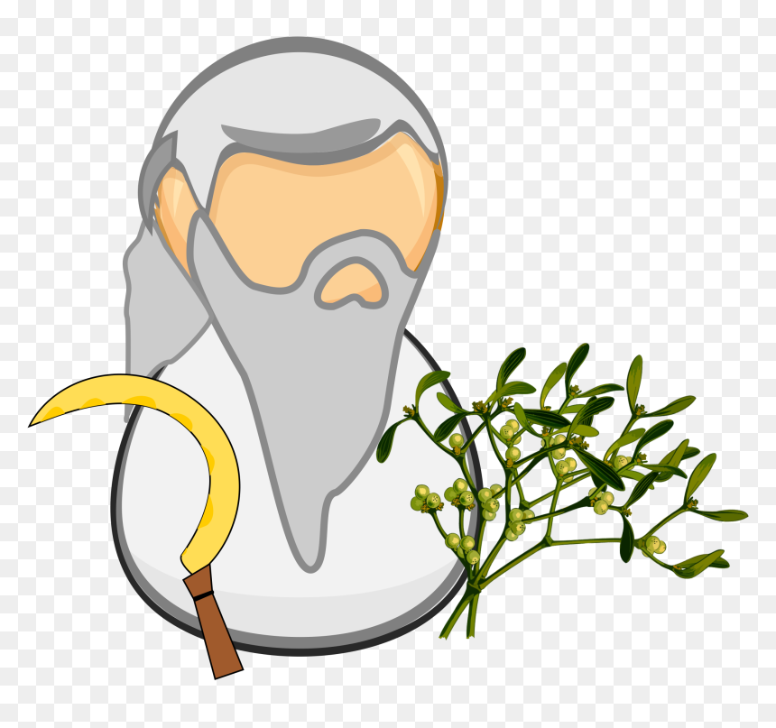 Druide Comic, HD Png Download - celtic tree png