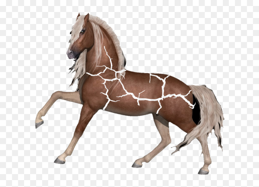 #cavalo #animais #animal - Horse, HD Png Download - cavalo png