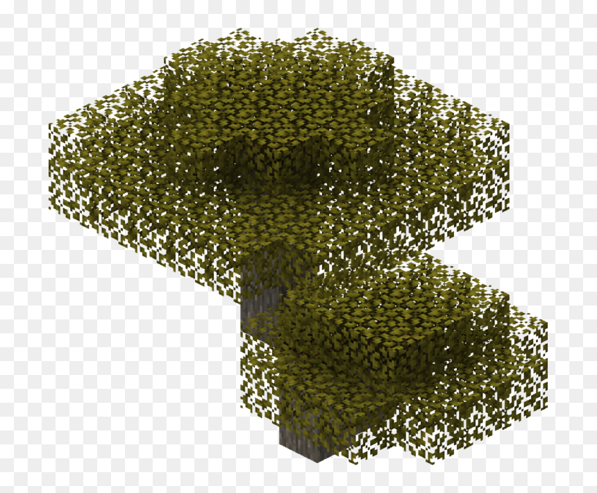 Illustration, HD Png Download - acacia tree png