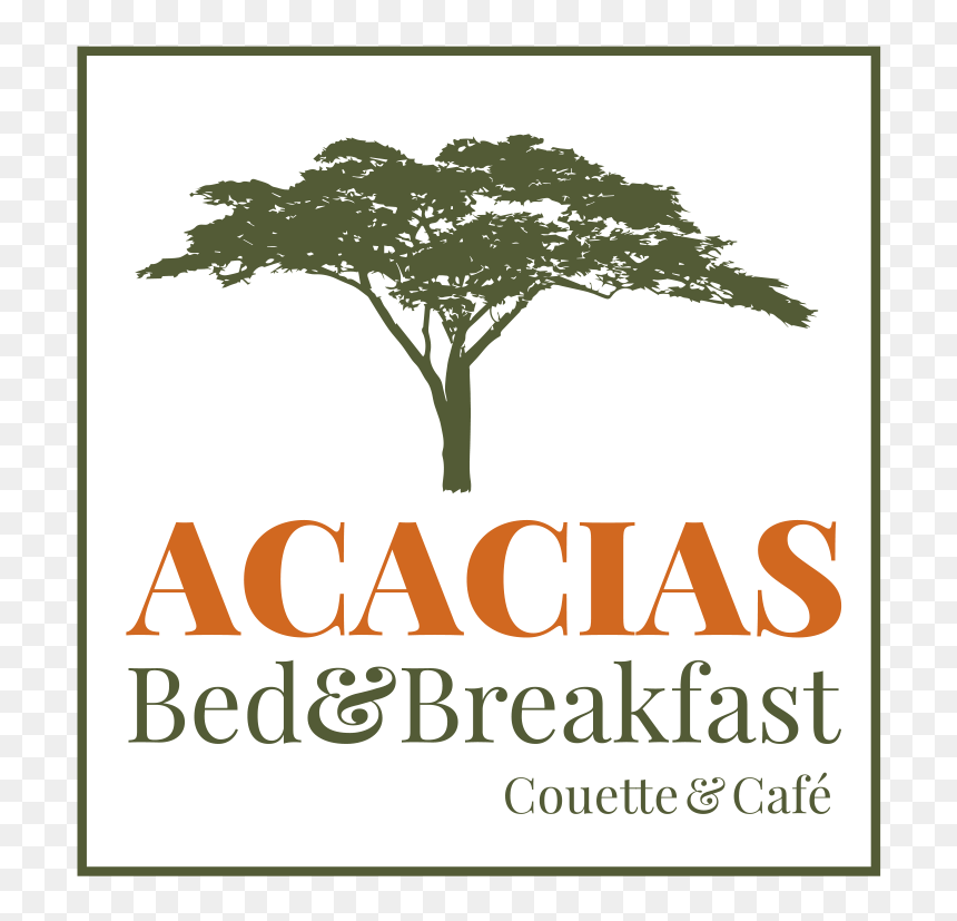 Logo Acacias Bed & Breakfast "
 Src="http - Poster, HD Png Download - acacia tree png