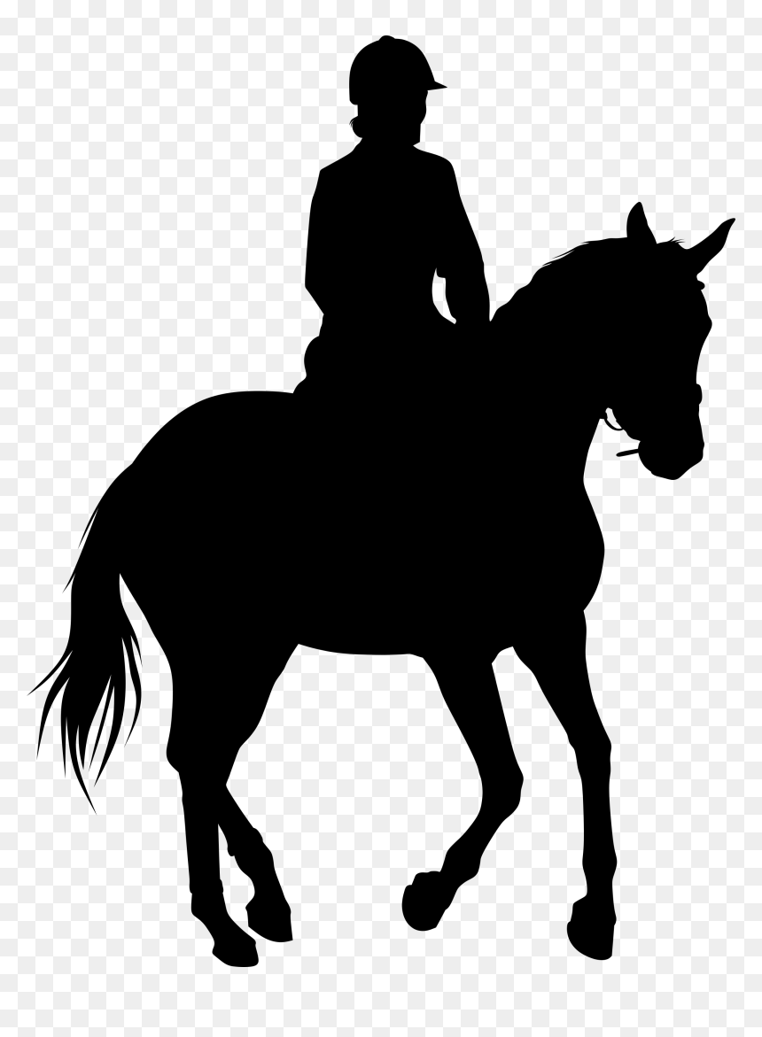 Equestrian Statue Silhouette Horse - Bull Rider Silhouette Png, Transparent Png - horse racing png