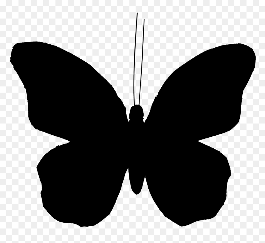 Clip Art Butterfly Vector Graphics Illustration Image - Butterfly Silhouette Clip Art, HD Png Download - moths png