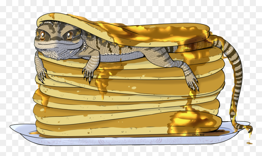 Just A Stack Of Pancakes Covered In Syrup - Bearded Dragon Pancake, HD Png Download - stack of pancakes png