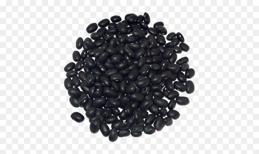 Pulse, HD Png Download - frijoles png
