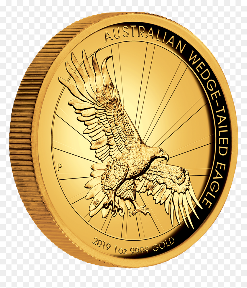 Iaus851983 1 - Wedge Tailed Eagle 2019 Gold, HD Png Download - gol png