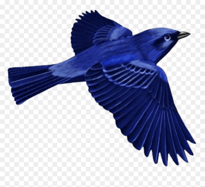 Download Dark Blue Bird Clip-art Png Images Background - Dark Blue Bird Clipart, Transparent Png - blue birds png