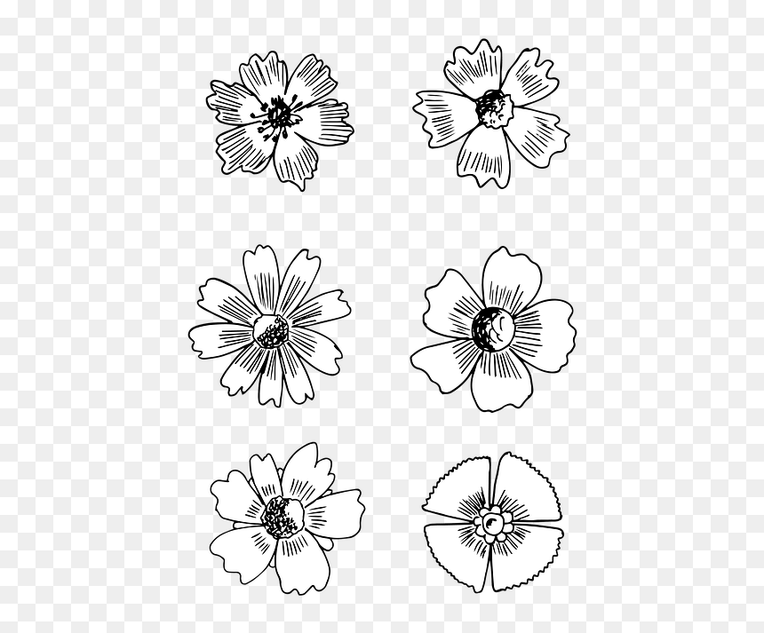 Flower Bloom Drawing, HD Png Download - flores dibujo png