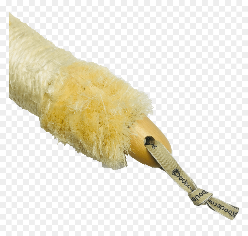 Waxworm, HD Png Download - japanese umbrella png