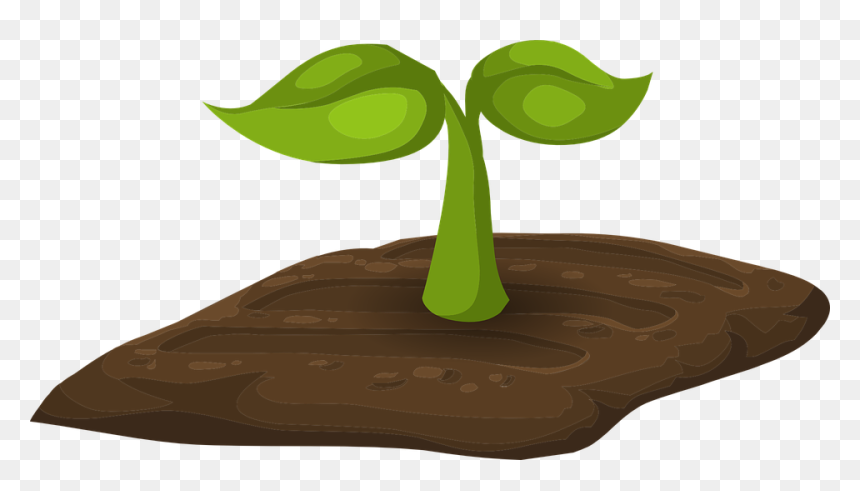 Cartoon Image Of Sprouts, HD Png Download - plant growing png