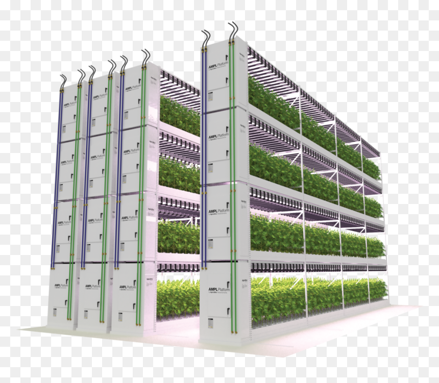 Ampl - Commercial Building, HD Png Download - plant growing png
