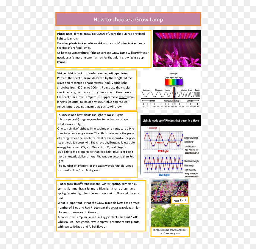 Brochure, HD Png Download - plant growing png